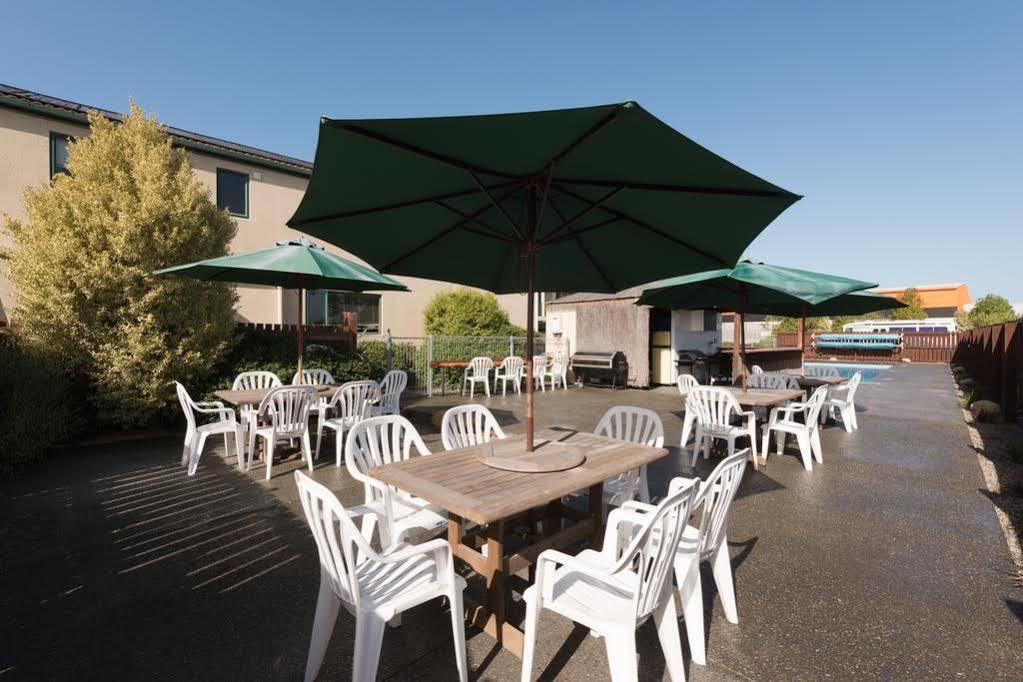 Lobster Inn Motel Kaikoura Ngoại thất bức ảnh